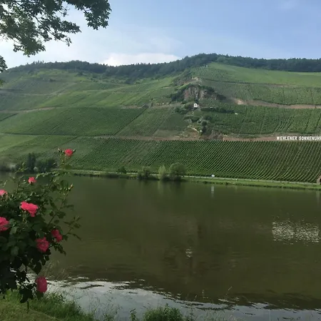 شقة Ferienwohnung Mosel Irene برنكاستيل كويس